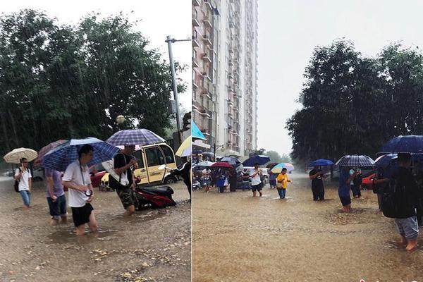 半岛在线体育网-台湾花莲近海5.3级地震