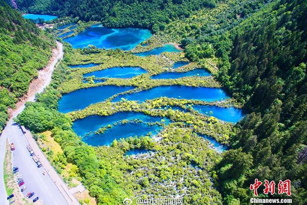 kok电竞首页-老夫妇居家俩月用水1023吨