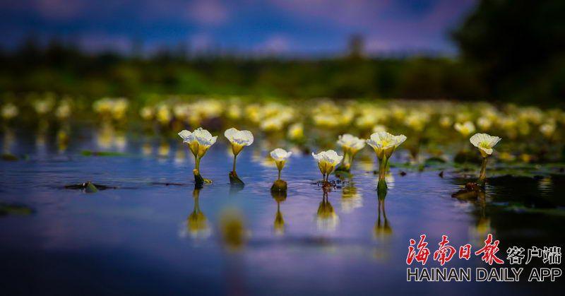 亚信平台注册-浙大女生23年前写的励志标语火了