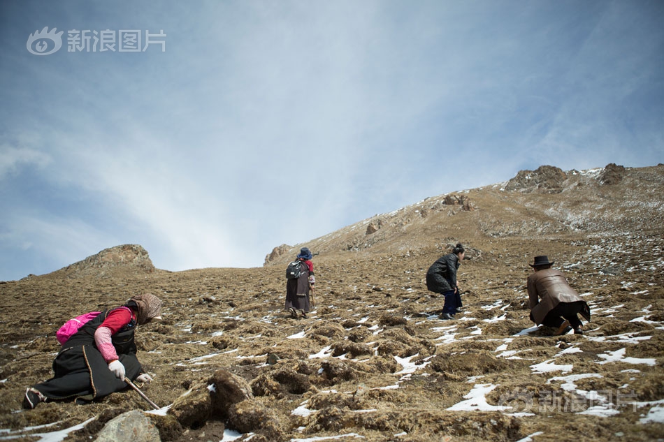 澳门吉尼斯人游戏平台下载-万岁山保安自扇耳光下跪向游客道歉