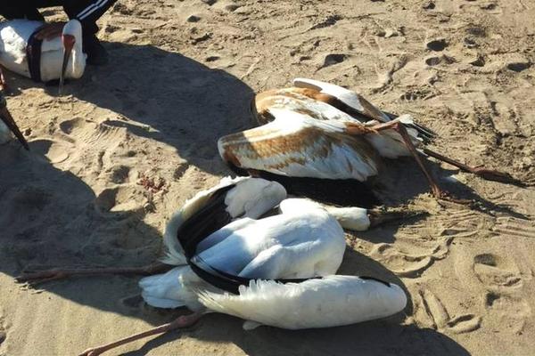 半岛在线登录官网-半岛在线登录官网