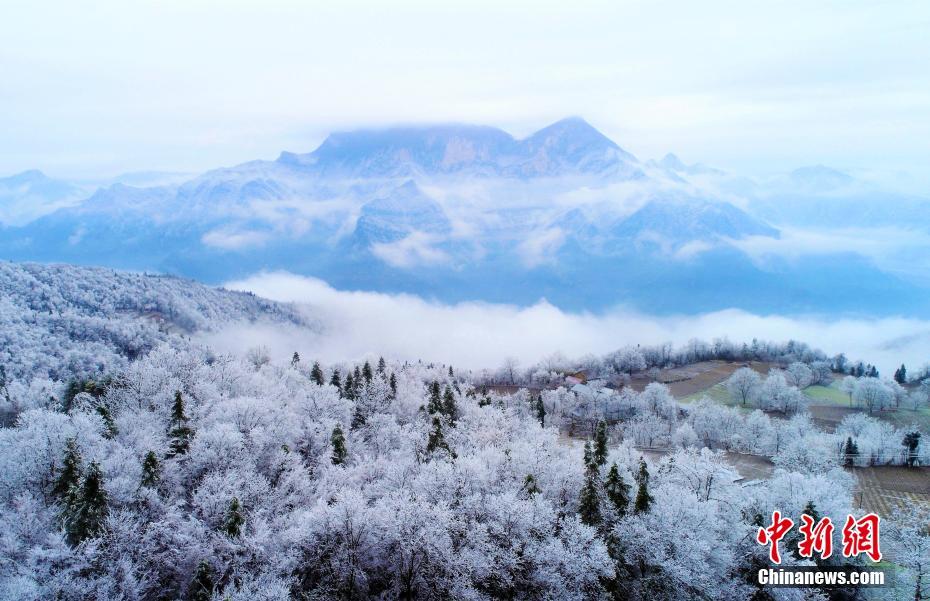 半岛在线登录入口-半岛在线登录入口