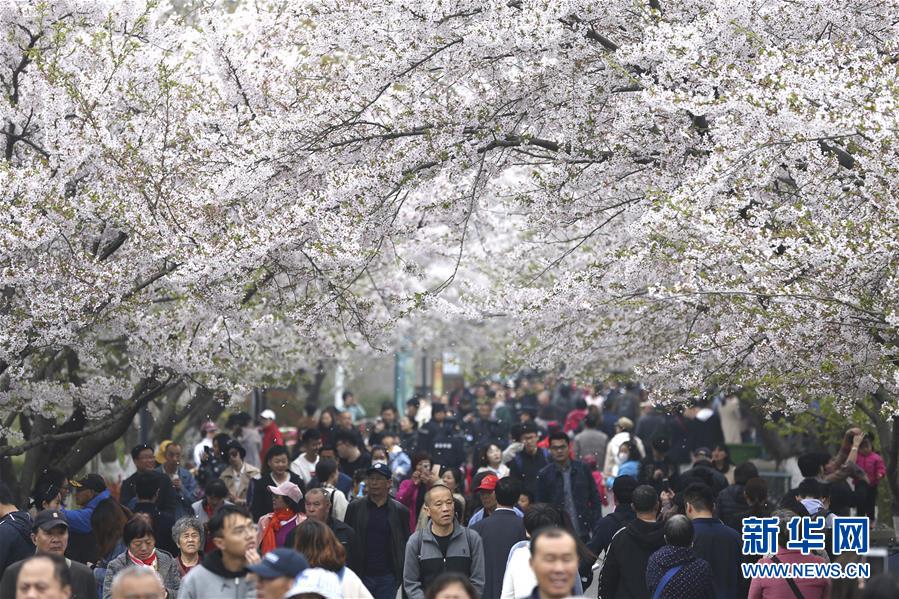 kok电竞首页-国内学科领域首本《游艇经济学》出版发行