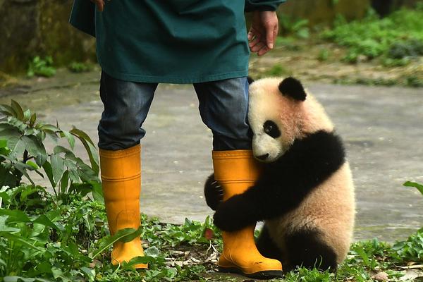 开云综合app官方官网-鈥滅户鎵垮涓氬綋琛岄暱鈥濓細鍒囦腑鐨勬槸鍏紬瀵瑰叕骞崇殑鐤戣檻