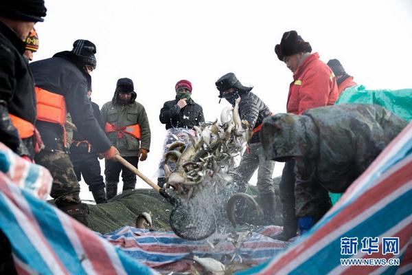 bob官方下载苹果相关推荐4