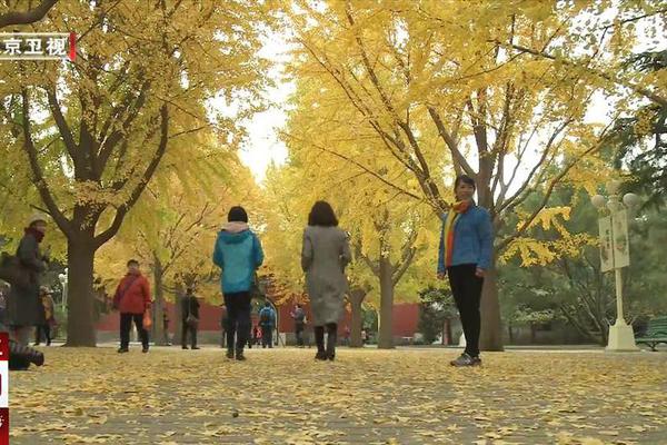 博鱼全站入口-平顶山执法人员拉扯女子抢夺手机