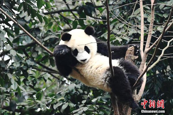 亚星官方平台入口-又一地削减编外人员：福建永春要求服务窗口编外人员一律清退