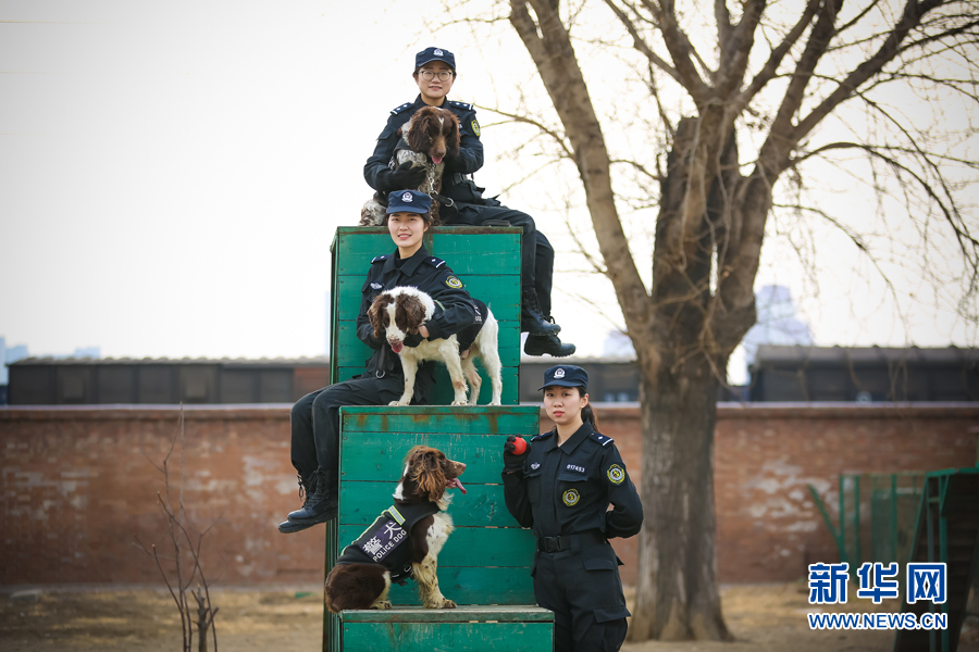 开云官方体育app下载相关推荐4