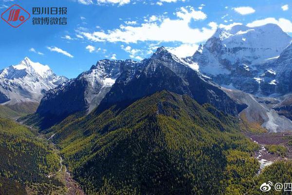 半岛星空体育-导师最有水平的一句话