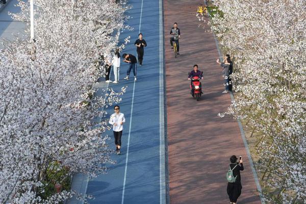 半岛在线登录入口-半岛在线登录入口