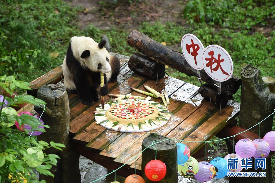 pg电子娱乐十大平台-在游戏里录视频，内容警告