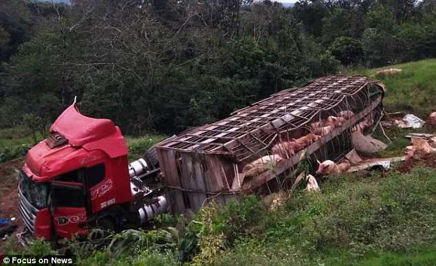 半岛在线登录下载相关推荐4