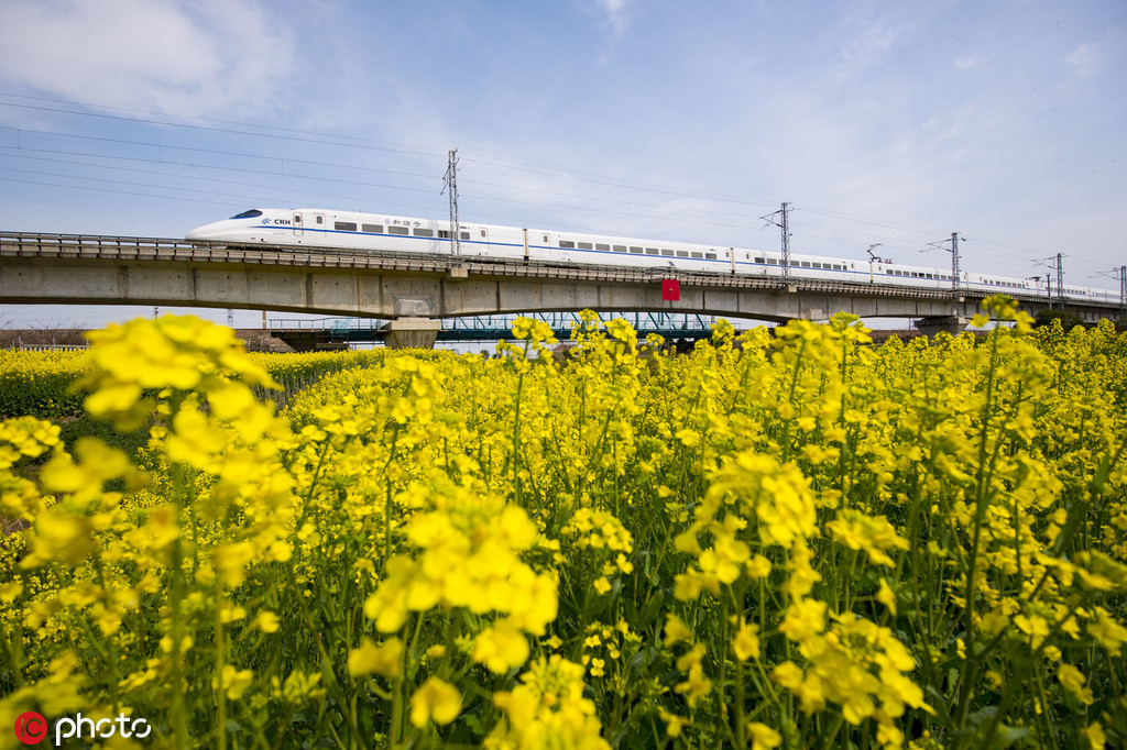 网上赌彩娱乐app-澎湃晚新闻数字人播报丨2024年4月5日