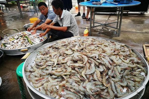 6686客户端-孙宇晨拍巴菲特午餐