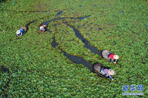 半岛网页版登录入口-广东“流动少年宫”走进云浮 在乡村播种美的力量