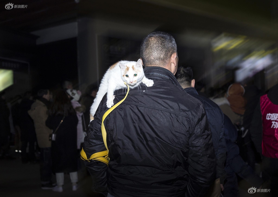 一起博官网-你为什么喜欢《虹猫蓝兔七侠传》中的虹猫
？