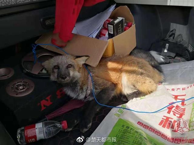 开云app在线下载开云相关推荐1