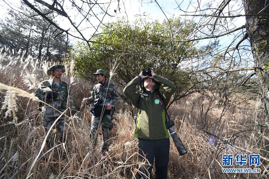 开云手机登录入口-多地目击不明飞行物