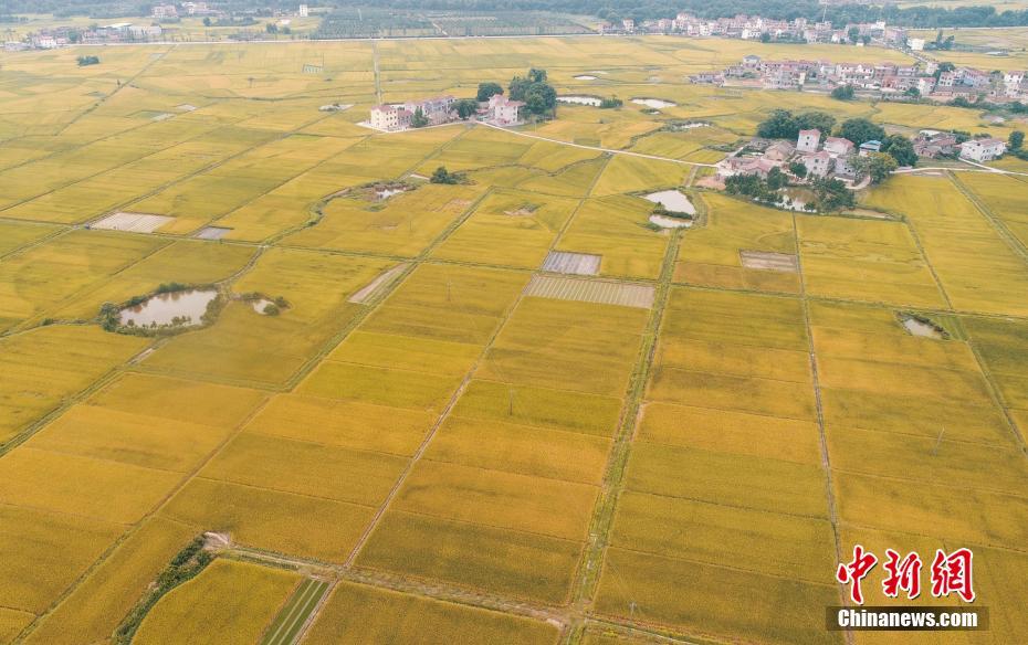 博亚娱乐网-中国气象局发布大地磁暴预警