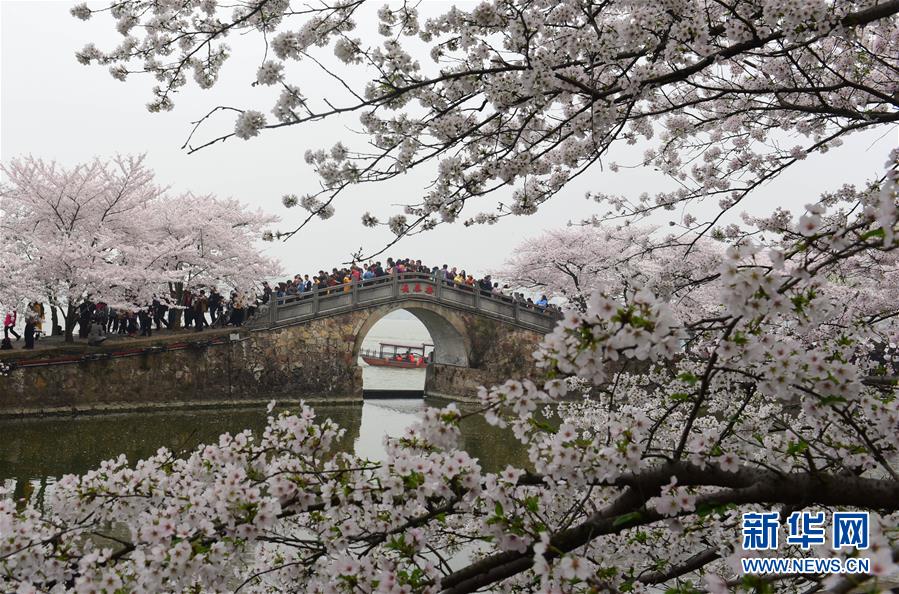 华体育会在线登录