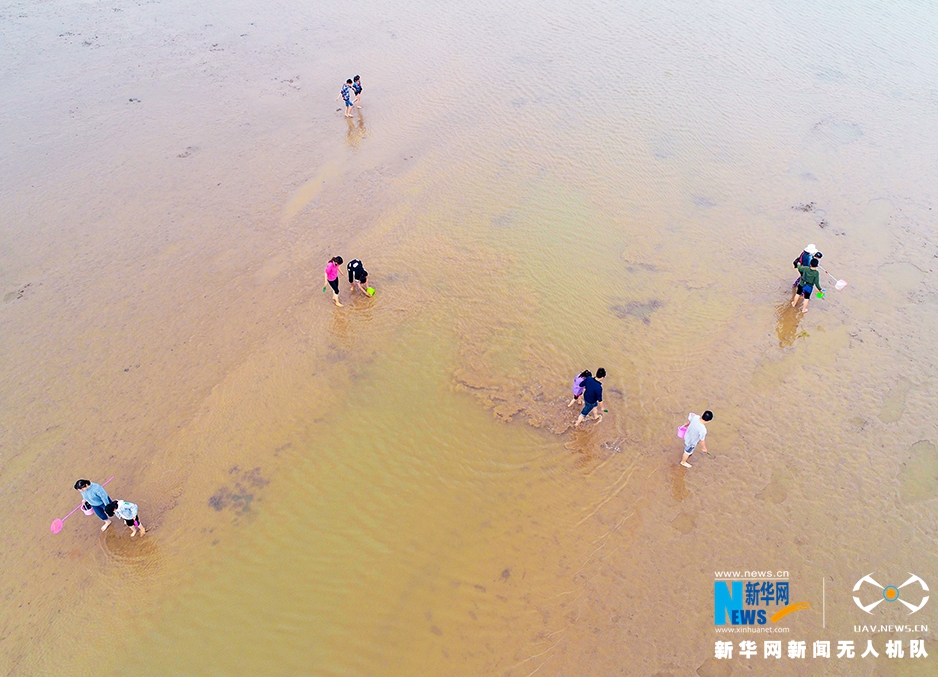 问鼎最新登录地址-问鼎最新登录地址