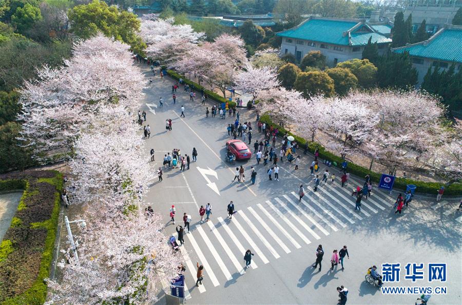 pg电子娱乐十大平台-广受欢迎	！民调显示八成德国消费者愿意购买中国纯电汽车