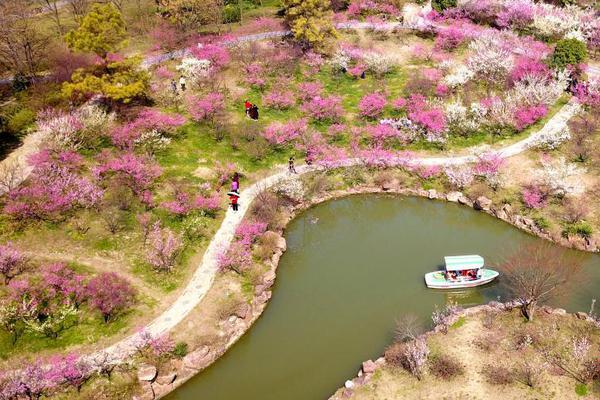 千亿官网登录入口-多地“1元特价房”摆上拍卖平台货架�：面积不大，不乏捡漏记录