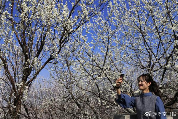 博业体育下载app-清华、天大�、复旦等国内各大高校的春日美景陆续进入最佳观赏期�，你手机里有哪些「美得不可思议」的春景？