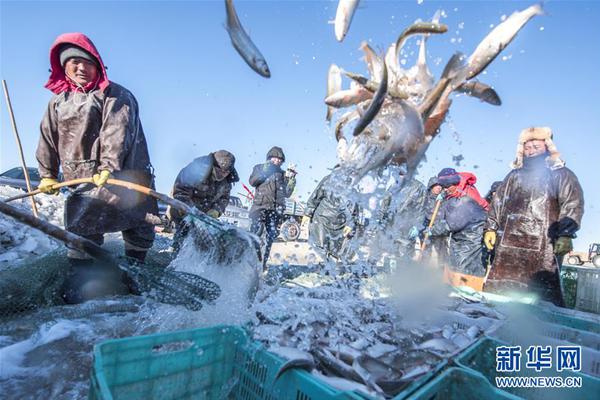 免费的网页入口无需下载-免费的网页入口无需下载