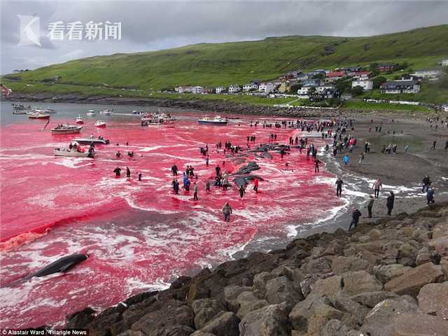 江南官方入口-南部战区组织联合海空战巡	，一切搅局南海的军事活动尽在掌握