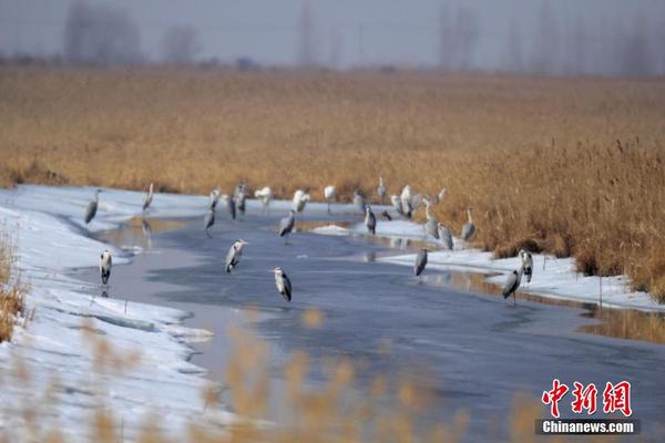 天博tb登录界面-浙江34岁律师被歹徒袭击身亡