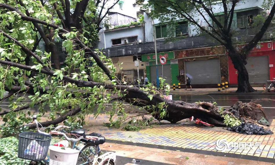 澳门老金沙地址