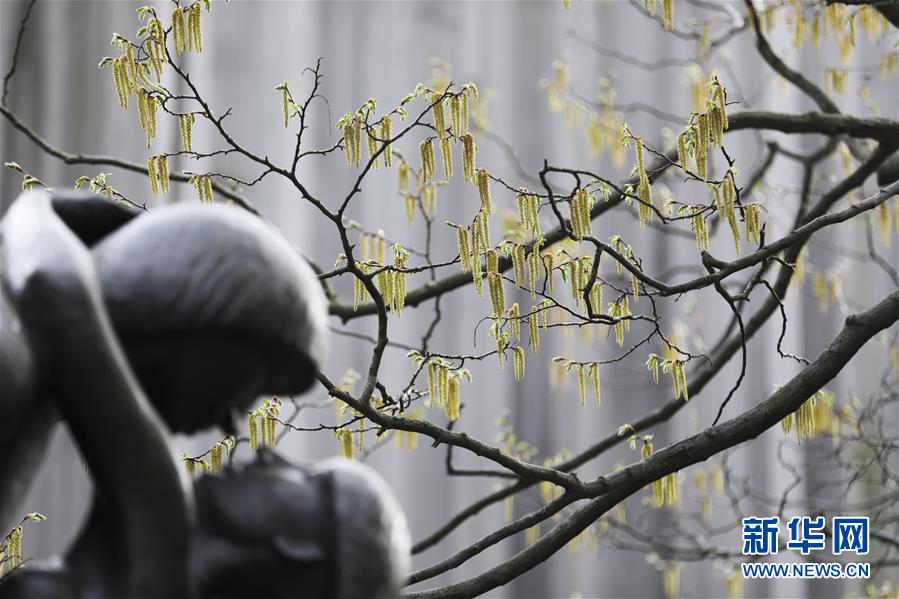 澳门新萄京官方网站-今年唯一日全食:太阳被吞成指环