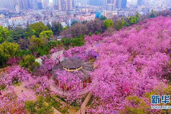 菲律宾亚星登录官网-油价上涨