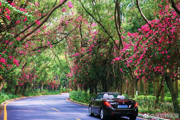 网上赌彩娱乐app-台湾花莲近海5.3级地震