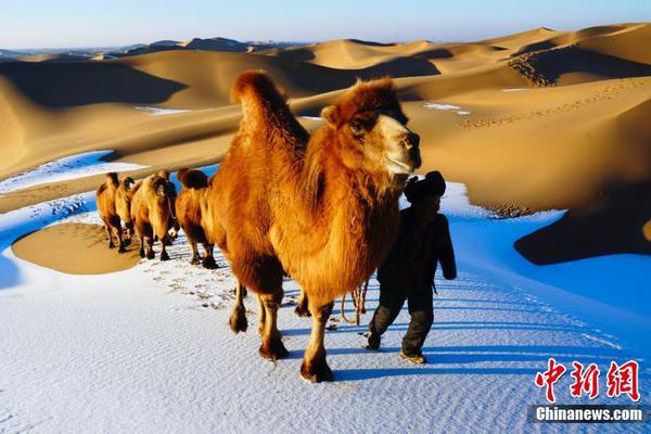 kok网页平台-暴雪国服本周或将回归