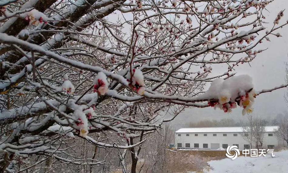 hth华体育app官网登录-今年第19“虎”：担任中国电科集团副总经理不到一年的何文忠被查