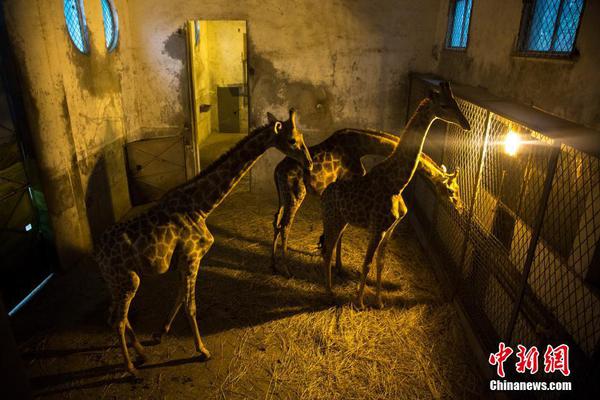 华体育会在线登陆-华体育会在线登陆