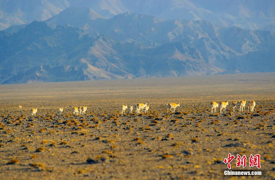 半岛在线登录下载-半岛在线登录下载