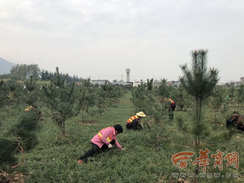 线上赌彩官网-周雨彤一次醉酒换来一生内向