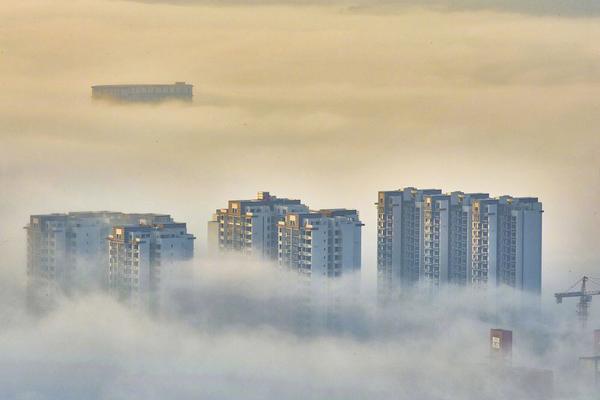 半岛星空体育-为什么年轻人愿意自己带孩子