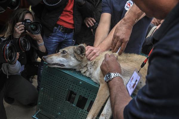 开云在线登录官网相关推荐1