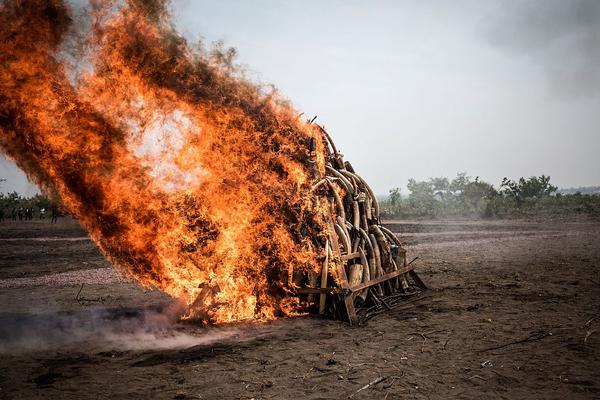 亚搏手机app登录入口-浙大女生23年前写的励志标语火了