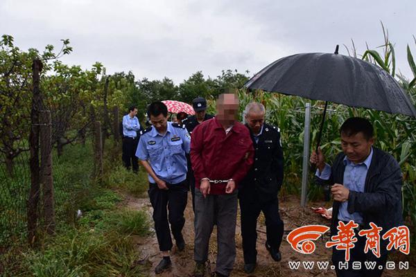 半岛在线官网相关推荐10