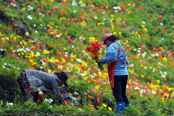 开云app苹果下载-独行侠险胜勇士