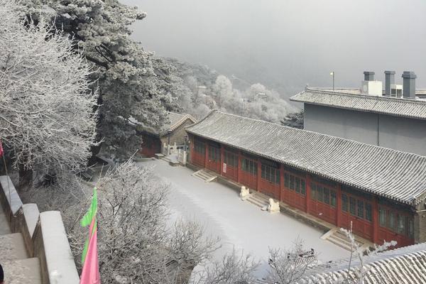 开云电子娱乐-如何将旧金山愿景转为实景