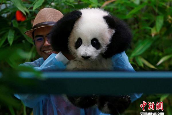 半岛在线登录下载-半岛在线登录下载