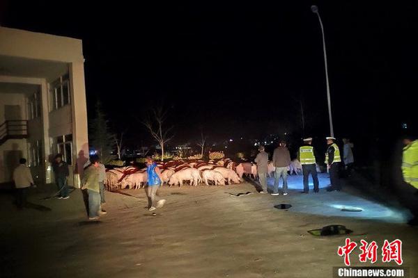 半岛在线登录下载-半岛在线登录下载