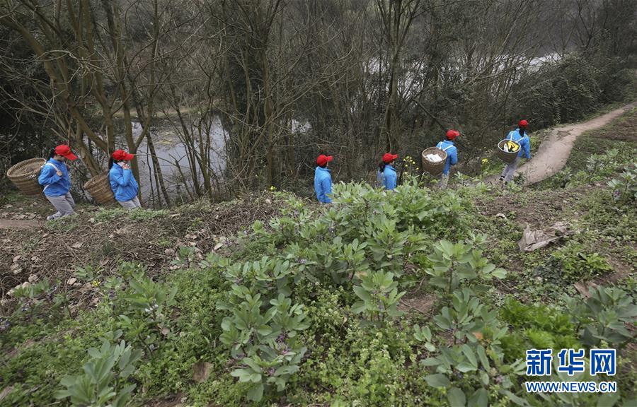 开云app苹果下载相关推荐9