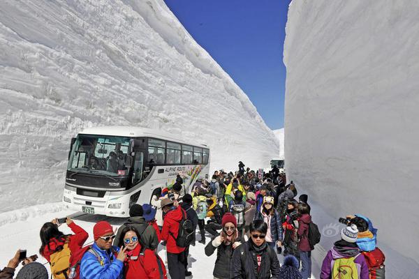 所有澳门电子游戏平台-1人带316包入境被查